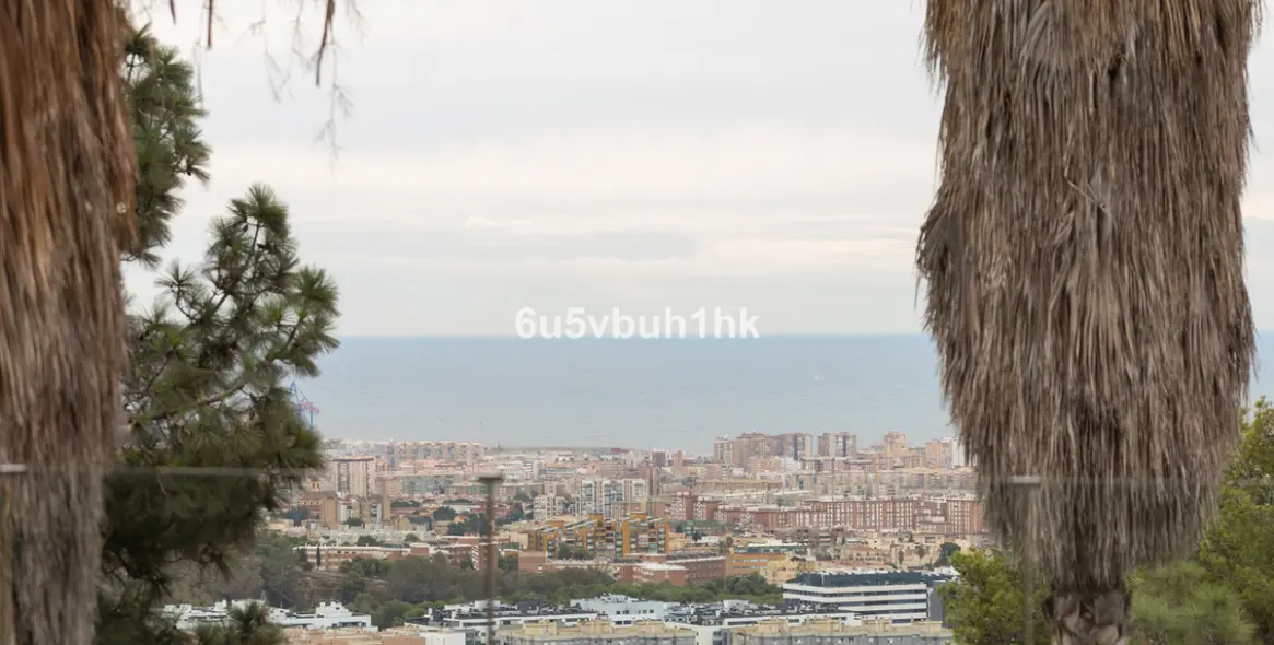 Продажа  отдельно стоящей виллы в Malaga (район Teatinos) 20