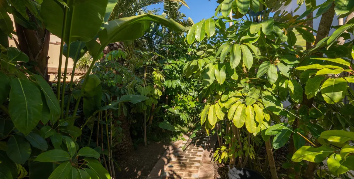 Venta de villa independiente en Marbesa 11