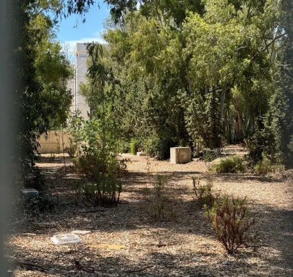 Sale of commercial plot in El Paraiso