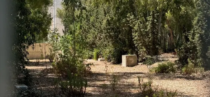 Sale of commercial plot in El Paraiso 2