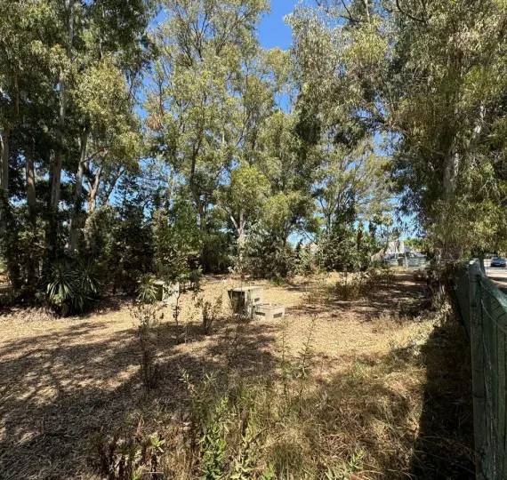 Sale of commercial plot in El Paraiso