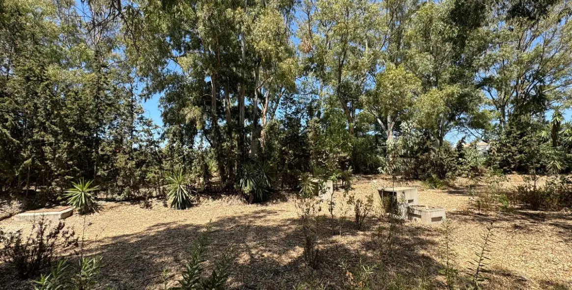 Sale of commercial plot in El Paraiso 5