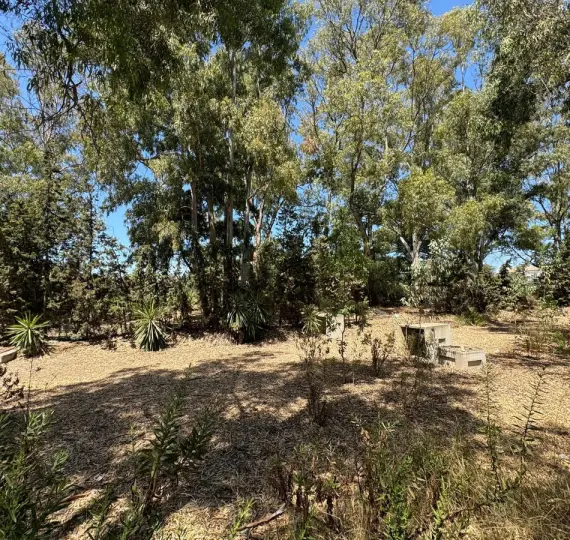 Sale of commercial plot in El Paraiso