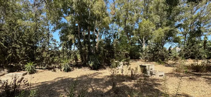 Sale of commercial plot in El Paraiso 4