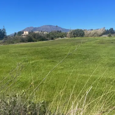 Sale of commercial plot in Estepona