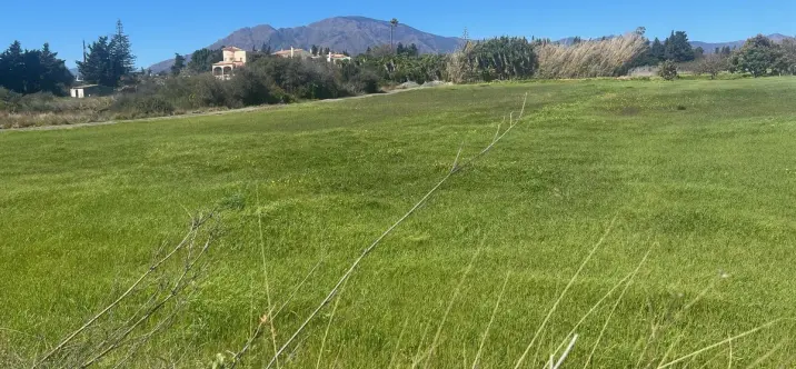 Sale of commercial plot in Estepona 2