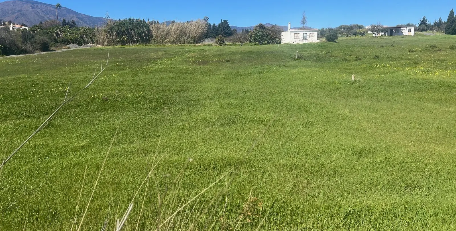 Sale of commercial plot in Estepona 1