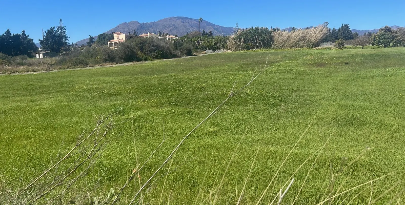 Sale of commercial plot in Estepona 3