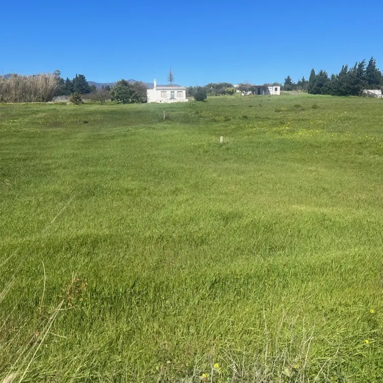 Sale of commercial plot in Estepona