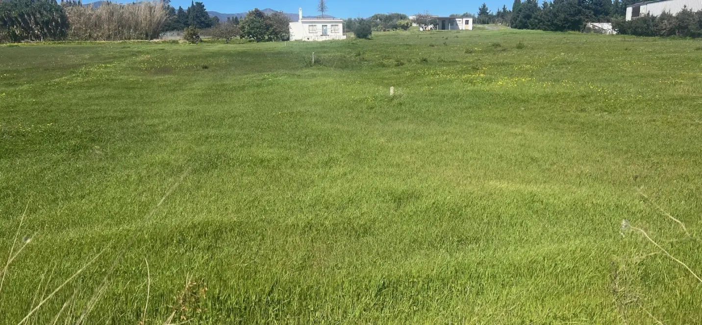 Sale of commercial plot in Estepona 3