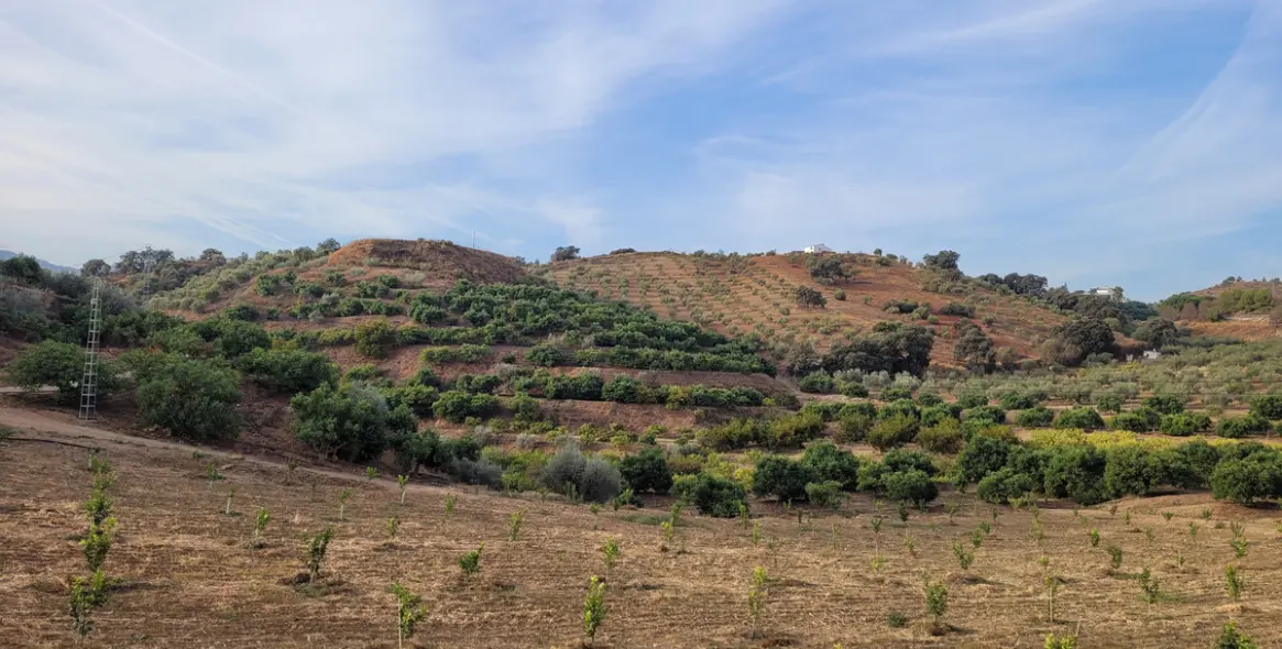 Продажа  жилого участка в Malaga (район Provincia de Málaga) 1