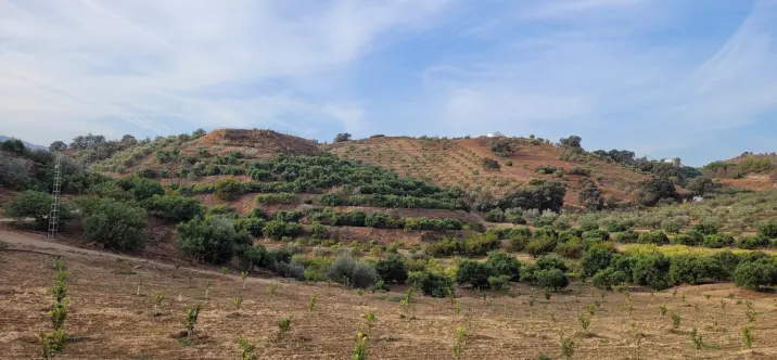 Жилой участок R4179451 0