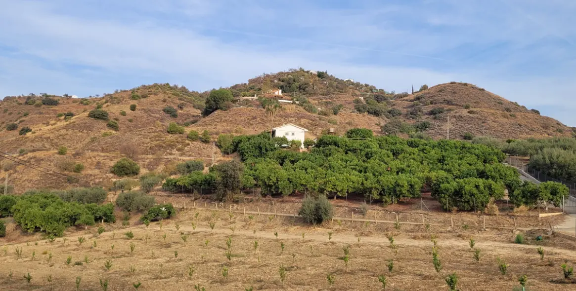 Продажа  жилого участка в Malaga (район Provincia de Málaga) 2