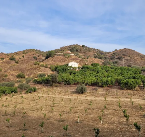 Жилой участок R4179451