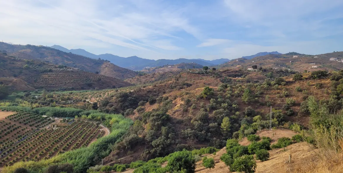 Продажа  жилого участка в Malaga (район Provincia de Málaga) 3