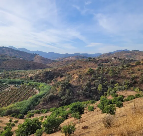 Жилой участок R4179451