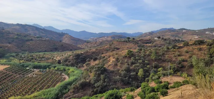 Жилой участок R4179451 2