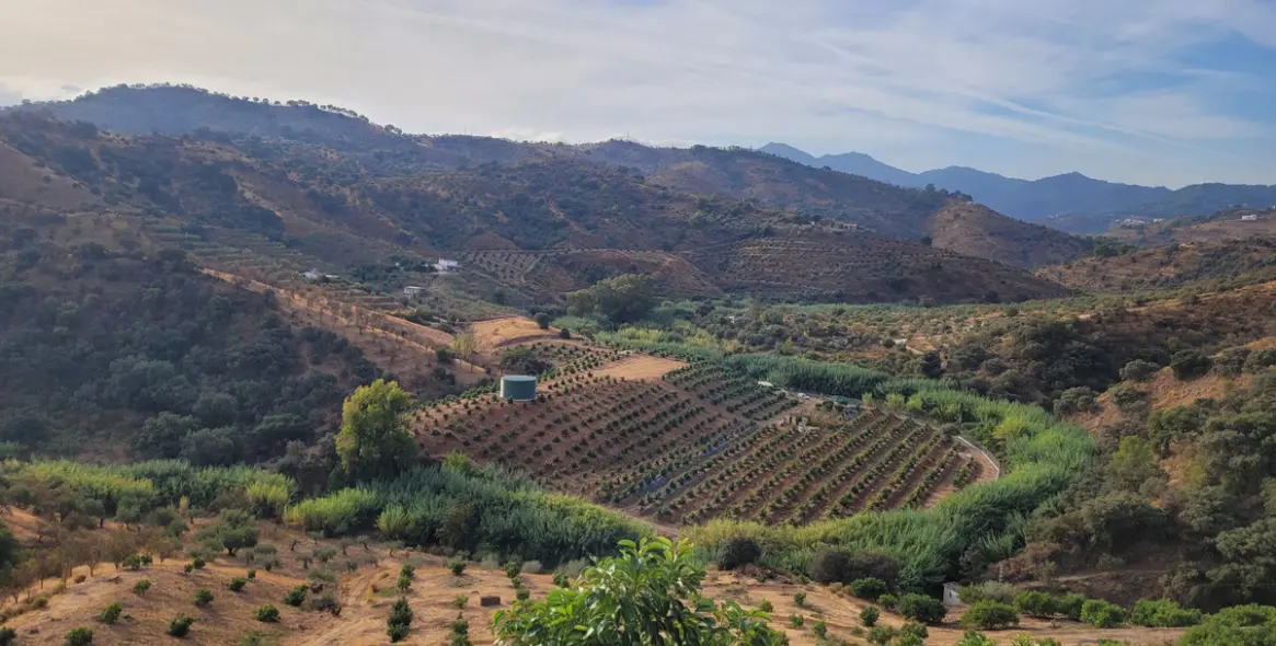 Продажа  жилого участка в Malaga (район Provincia de Málaga) 4