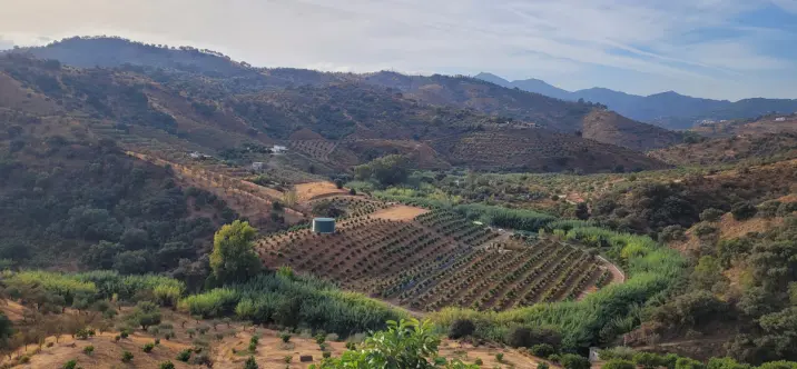 Жилой участок R4179451 3