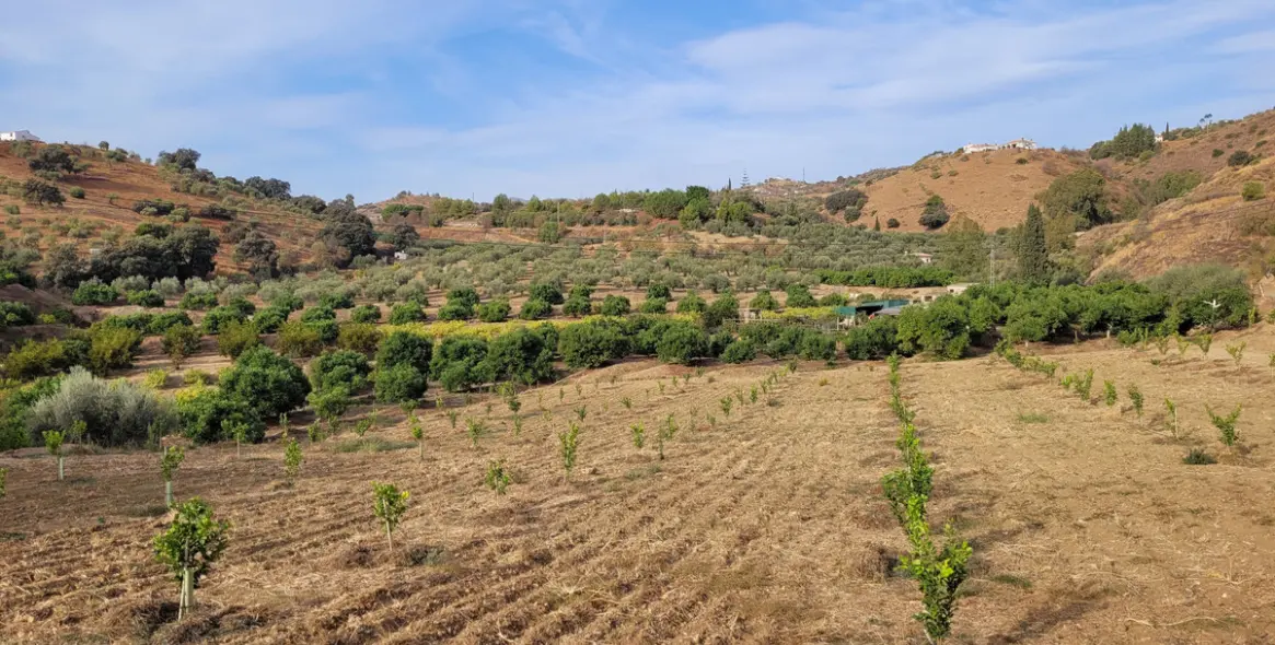 Продажа  жилого участка в Malaga (район Provincia de Málaga) 5