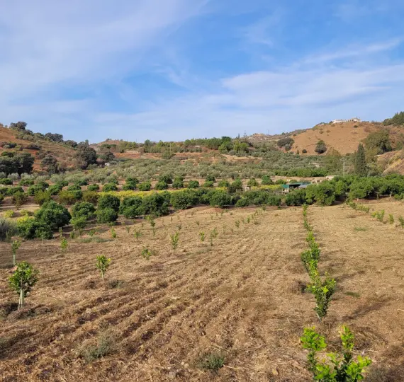 Жилой участок R4179451