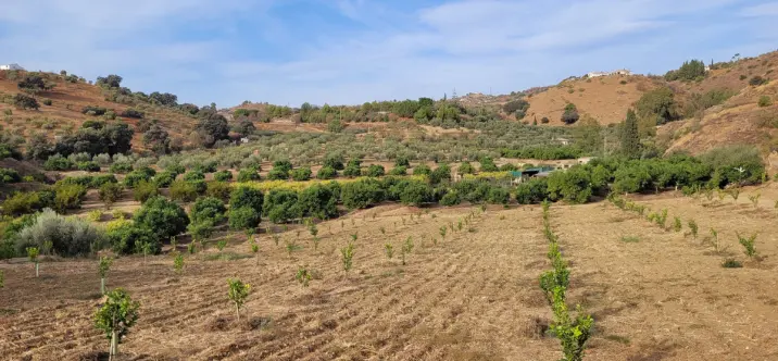 Жилой участок R4179451 4