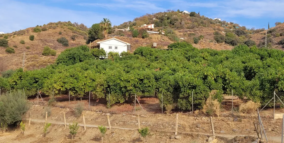 Продажа  жилого участка в Malaga (район Provincia de Málaga) 6