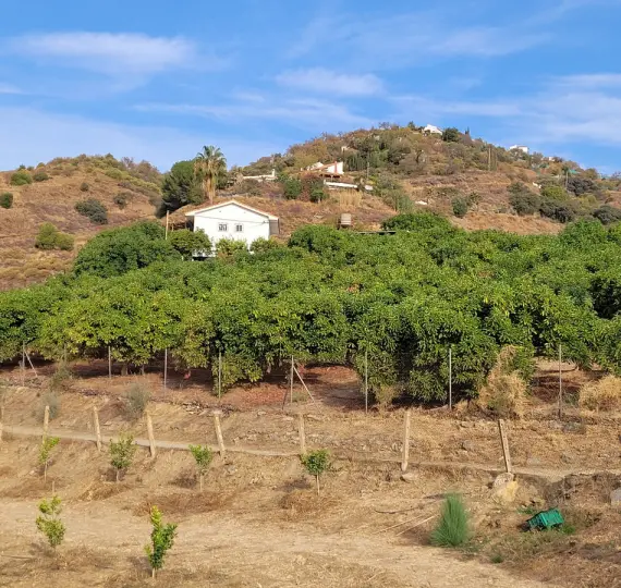 Жилой участок R4179451