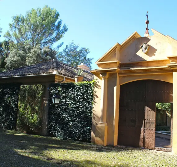 Продажа финки в Ronda