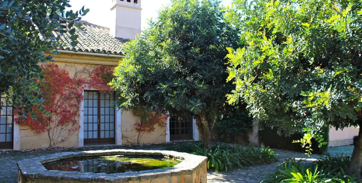 Sale of finca - cortijo in Ronda 5