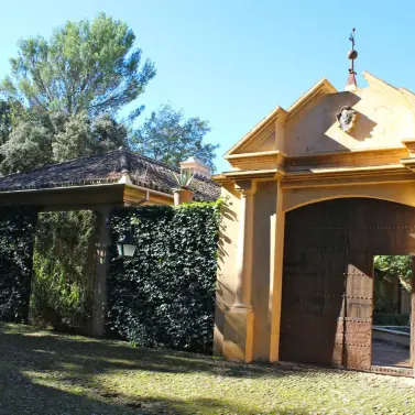 Продажа финки в Ronda