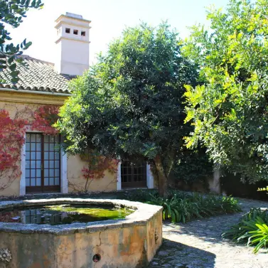 Продажа финки в Ronda