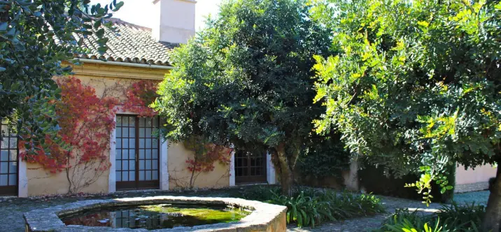 Продажа финки в Ronda 4