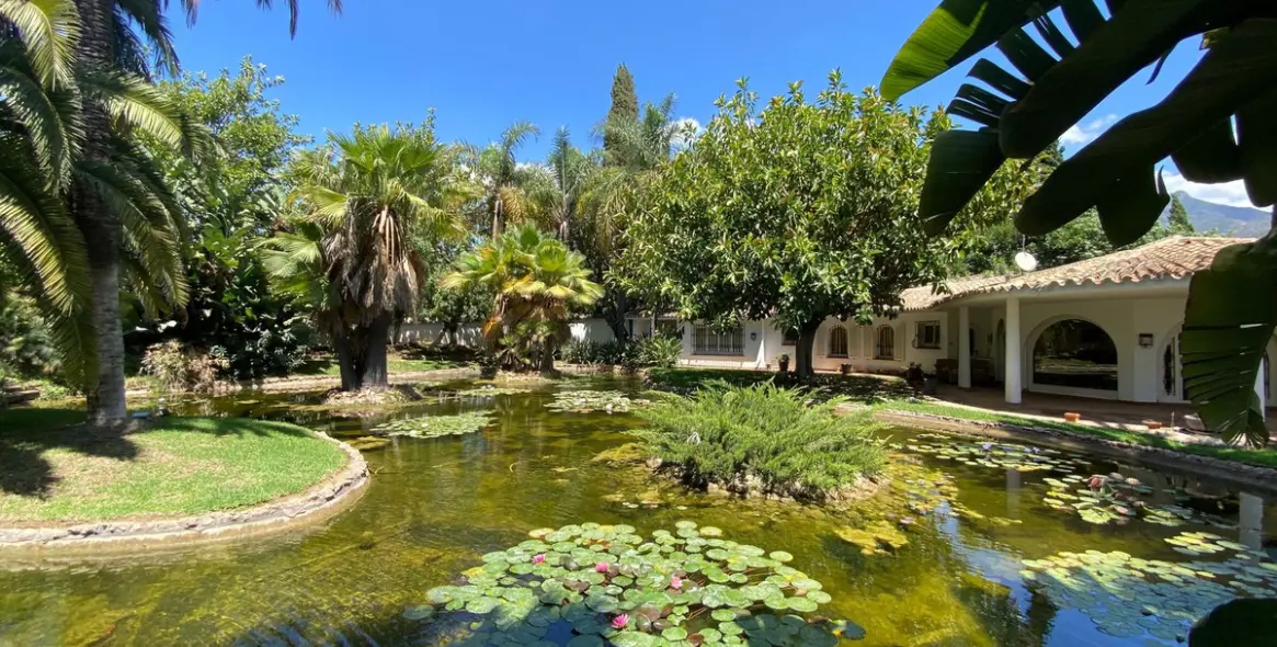 Sale of detached villa in Marbella (district Nagüeles) 2