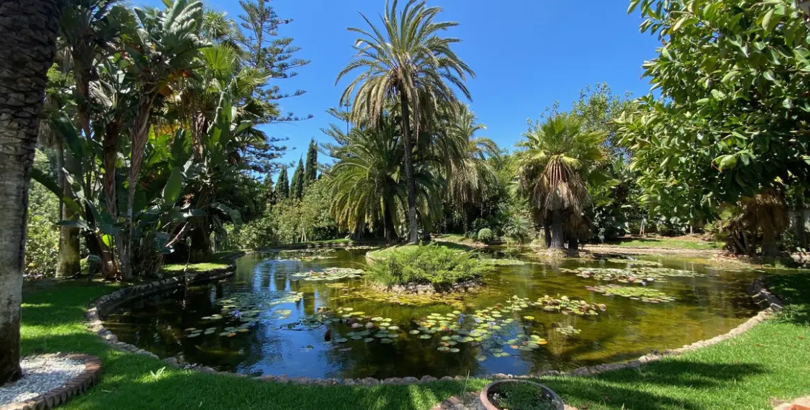 Sale of detached villa in Marbella (district Nagüeles) 3