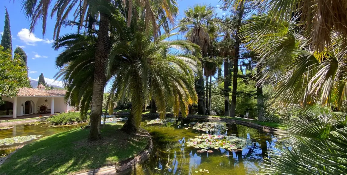 Sale of detached villa in Marbella (district Nagüeles) 5