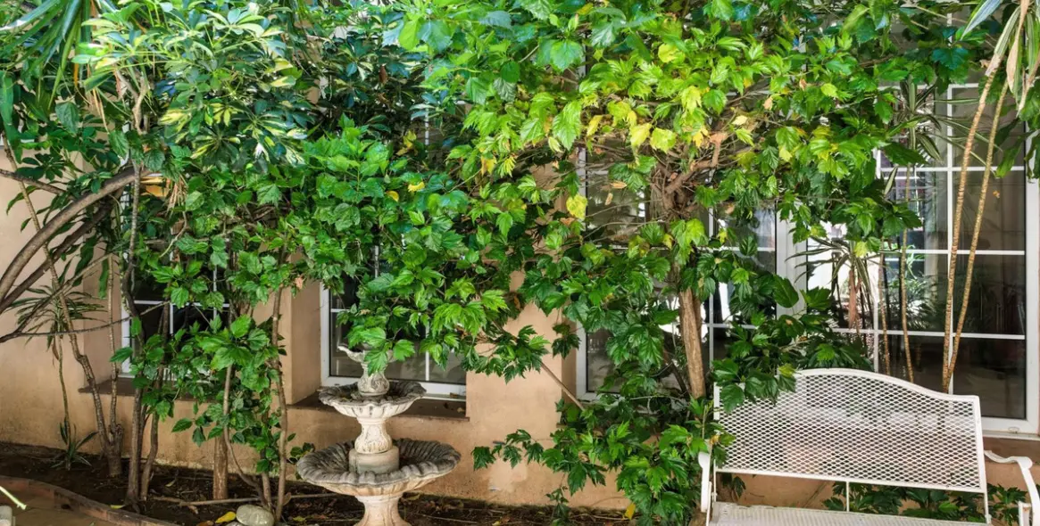 Sale of detached villa in Marbella 37