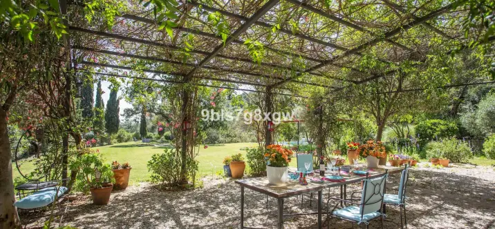 Finca - cortijo R5227537 3