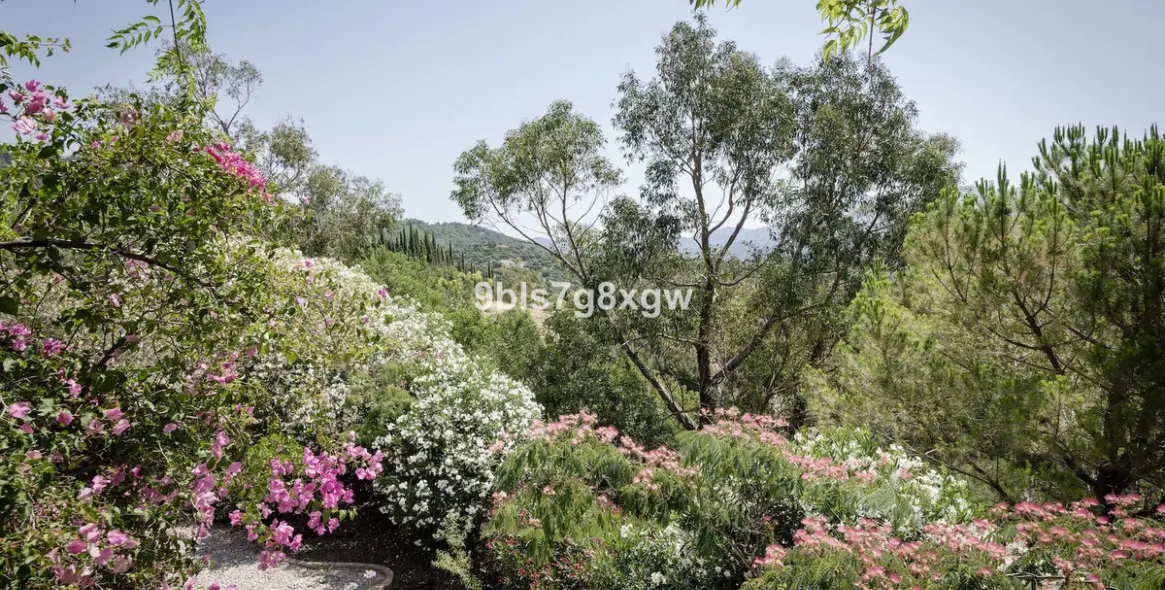 Sale of finca - cortijo in Gaucín 5