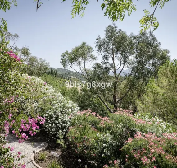 Finca - cortijo R5227537