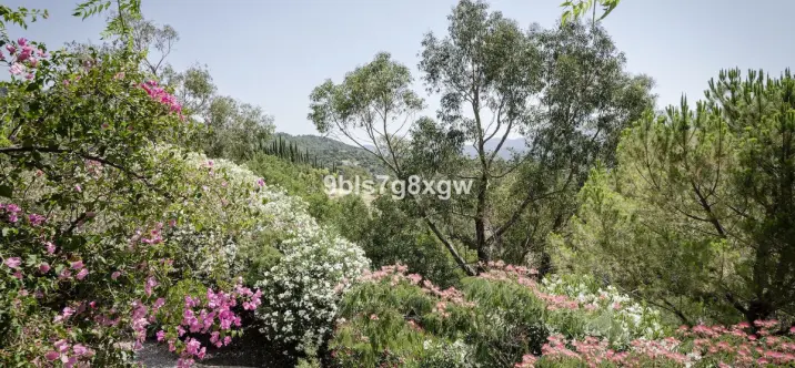 Finca - cortijo R5227537 4