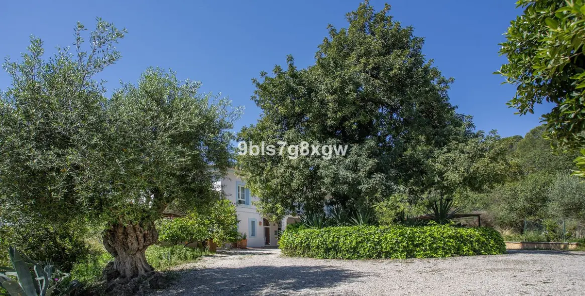 Sale of finca - cortijo in Gaucín 7