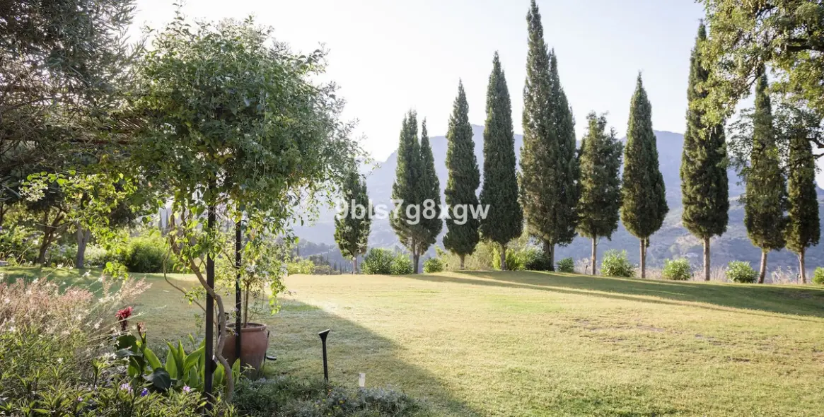 Sale of finca - cortijo in Gaucín 30