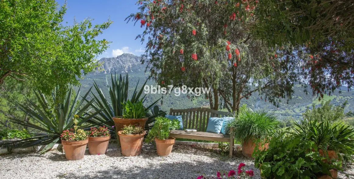 Sale of finca - cortijo in Gaucín 31