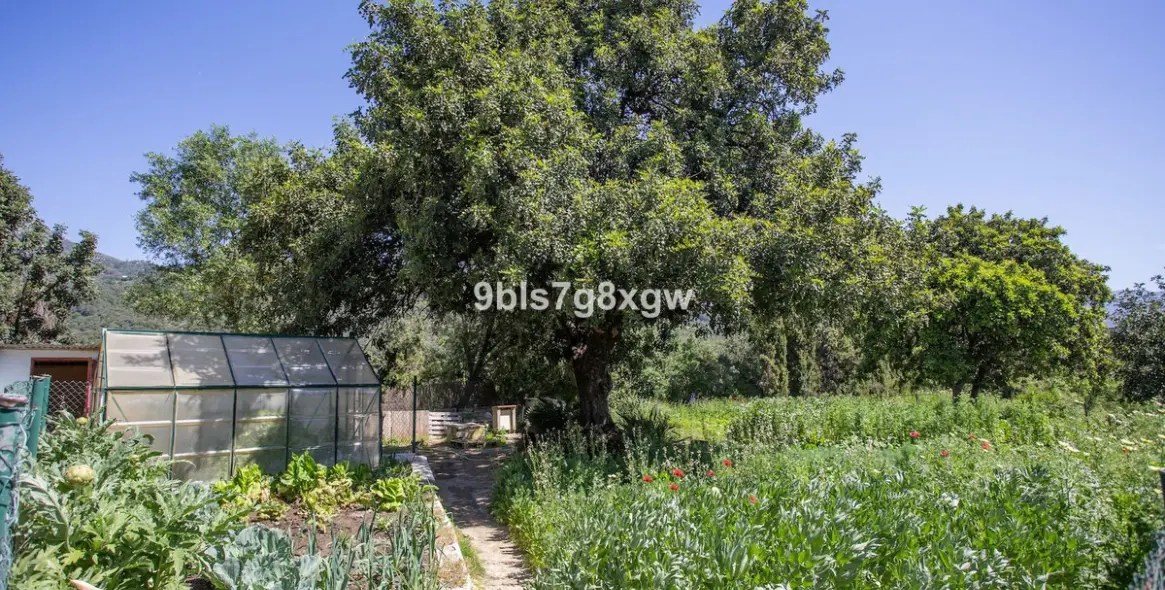 Sale of finca - cortijo in Gaucín 32