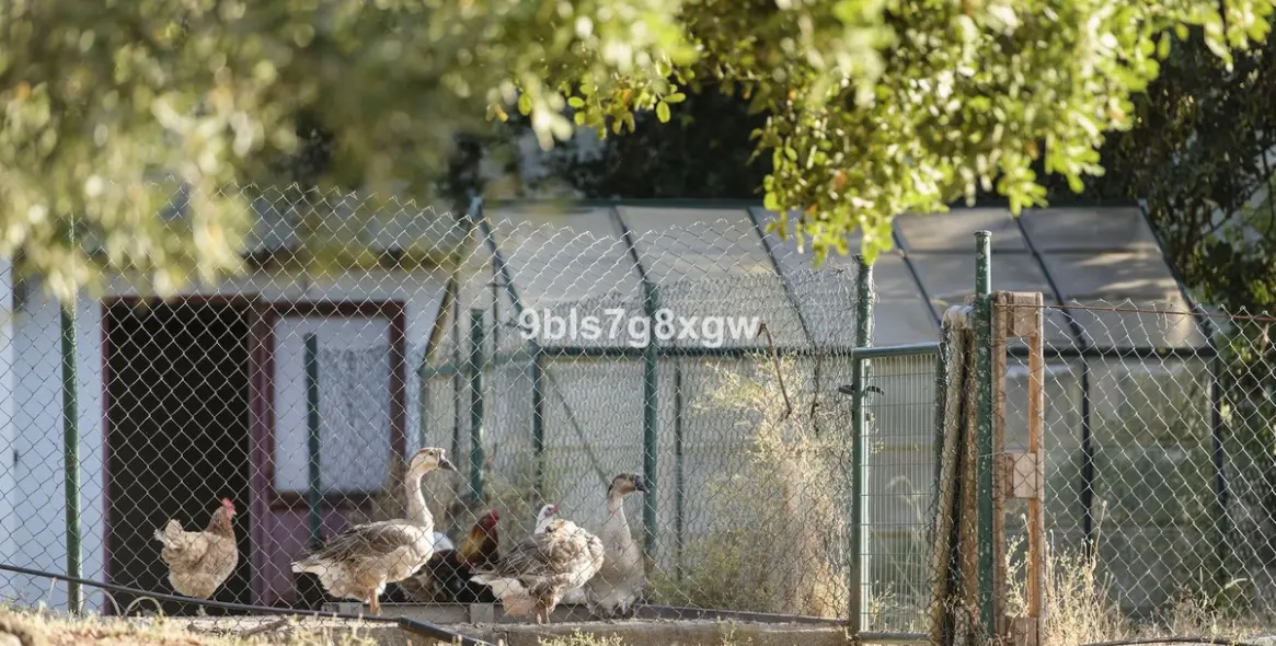 Sale of finca - cortijo in Gaucín 33