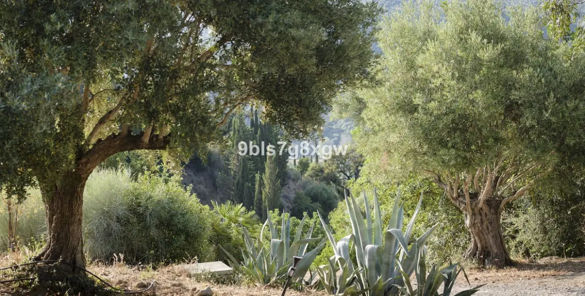 Sale of finca - cortijo in Gaucín 34