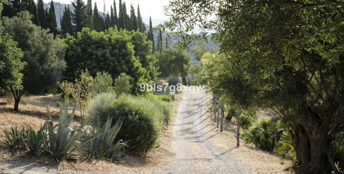 Sale of finca - cortijo in Gaucín 35
