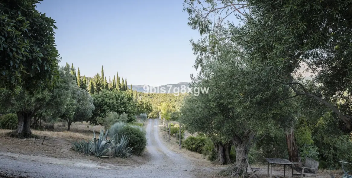 Sale of finca - cortijo in Gaucín 39