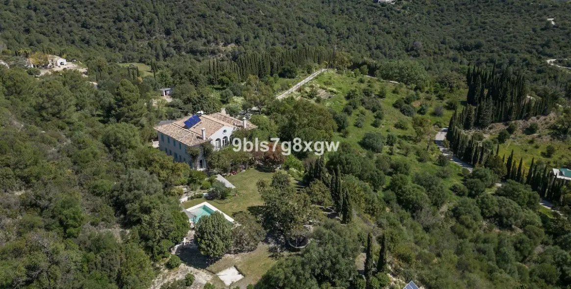 Venta de finca - cortijo en Gaucín 3